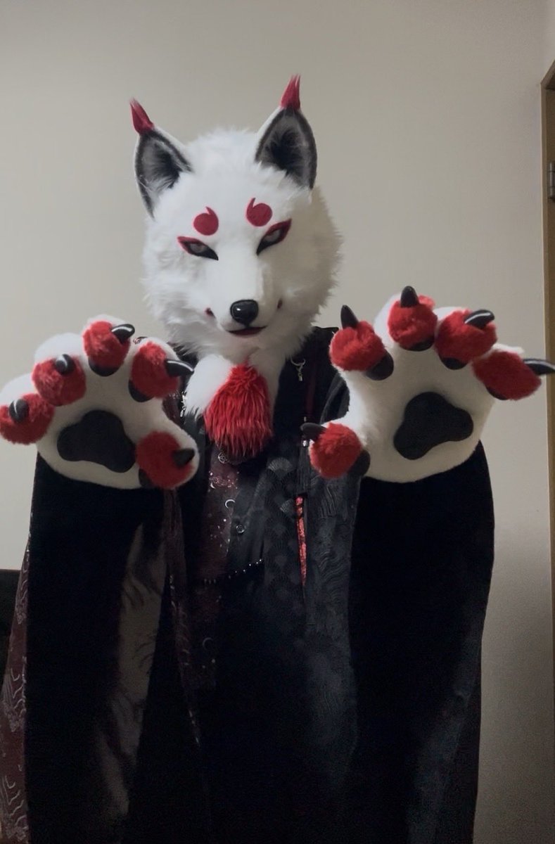 南国狐 tweet media