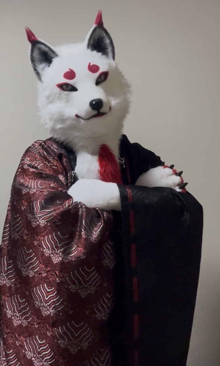 南国狐 tweet media