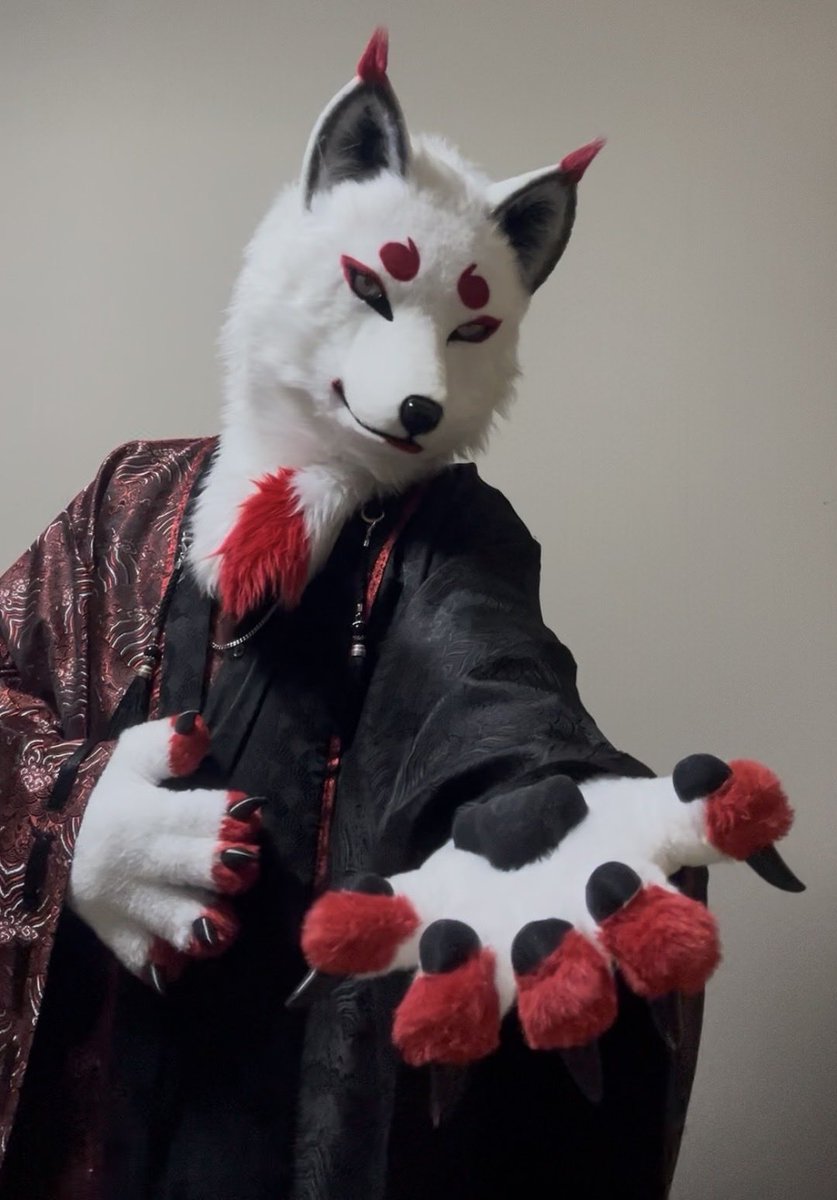 南国狐 tweet media