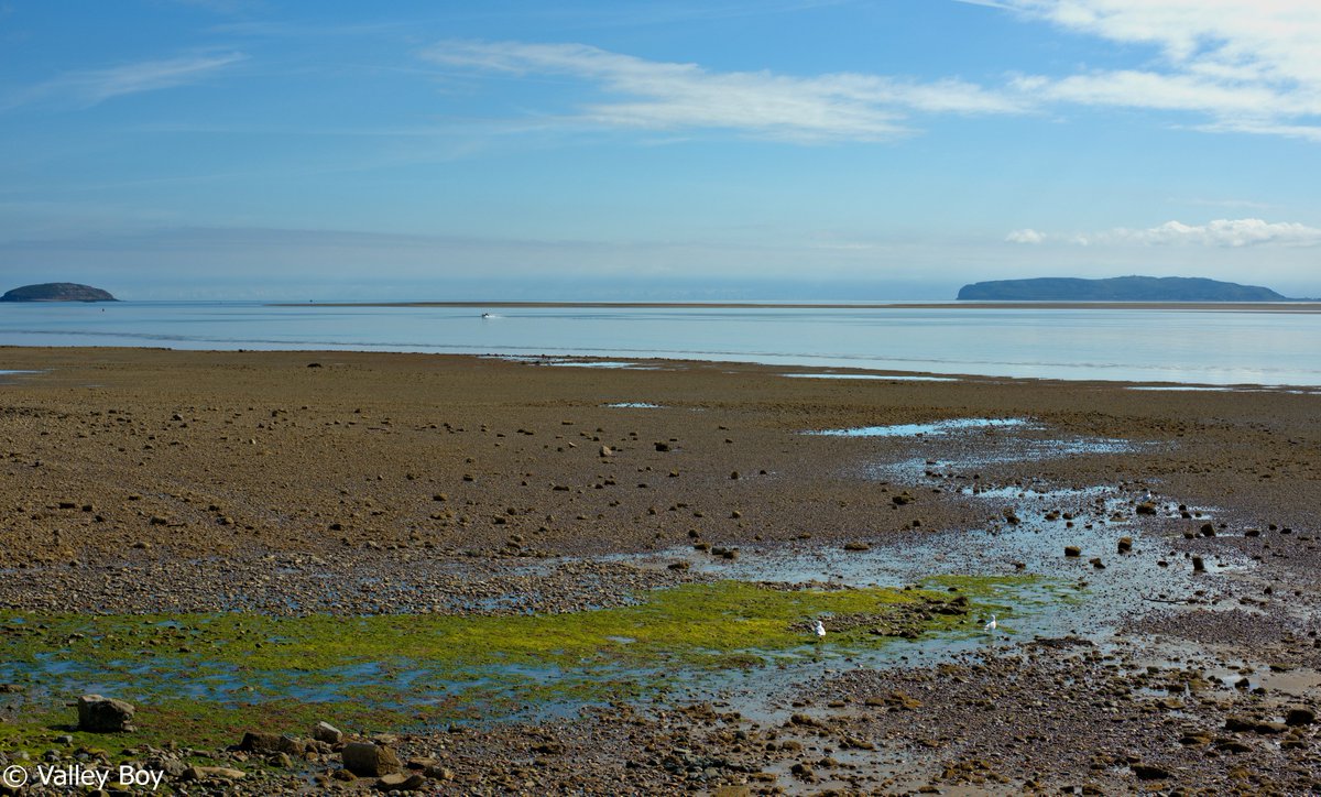 ValleyBoy tweet media