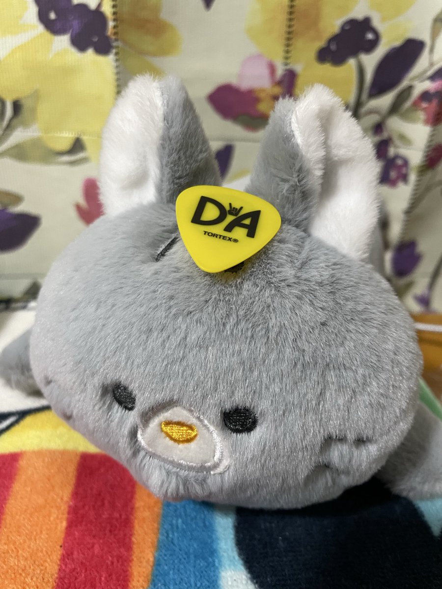 ハモンド🎸ファズ太郎 tweet media