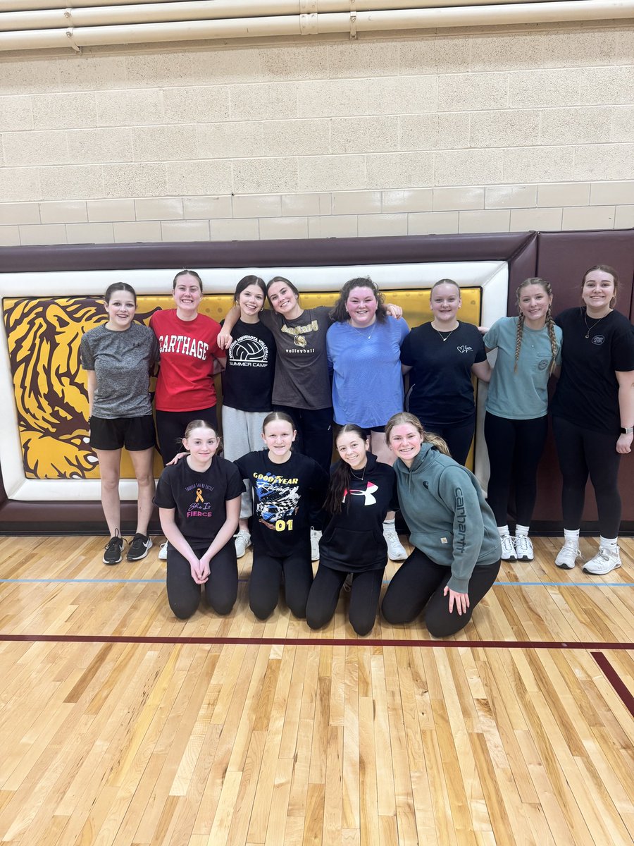 Stewartville Girls Golf Team tweet media