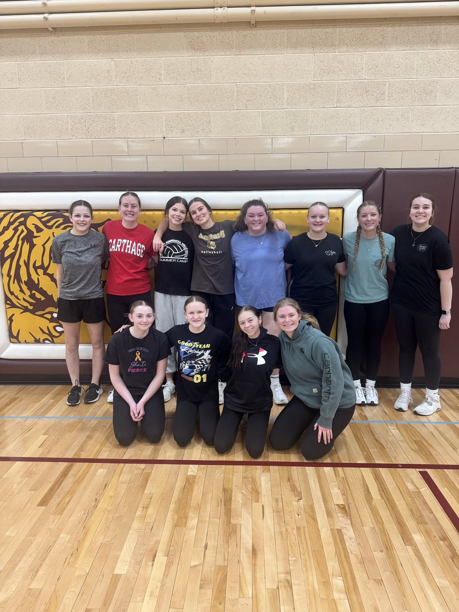 Stewartville Girls Golf Team tweet media