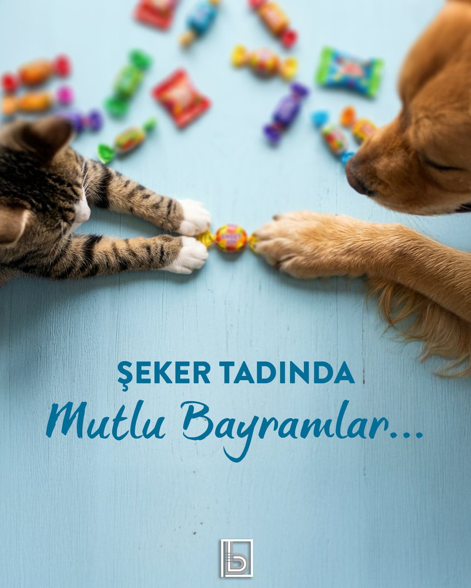 VanCat Türkiye tweet media