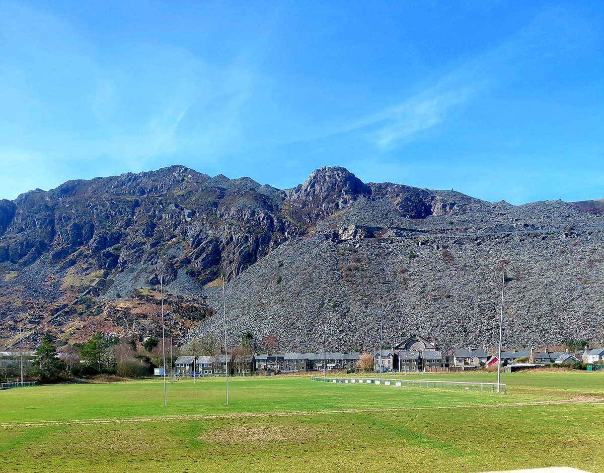 Faye Davies tweet media