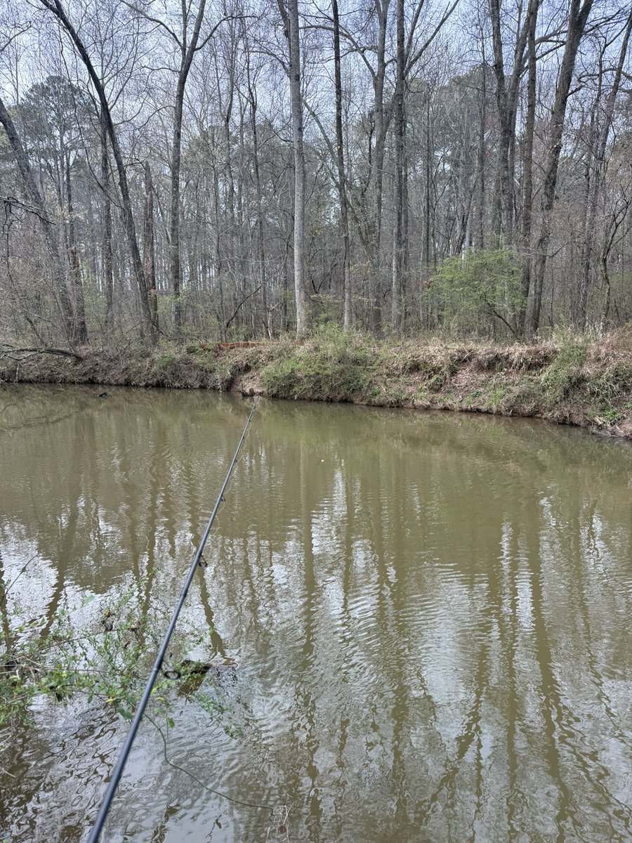 T 🇹🇹 tweet media