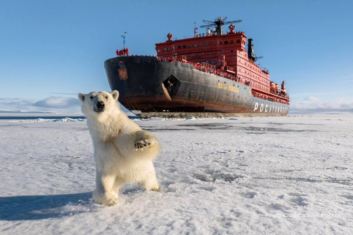 MFA Russia 🇷🇺 tweet media