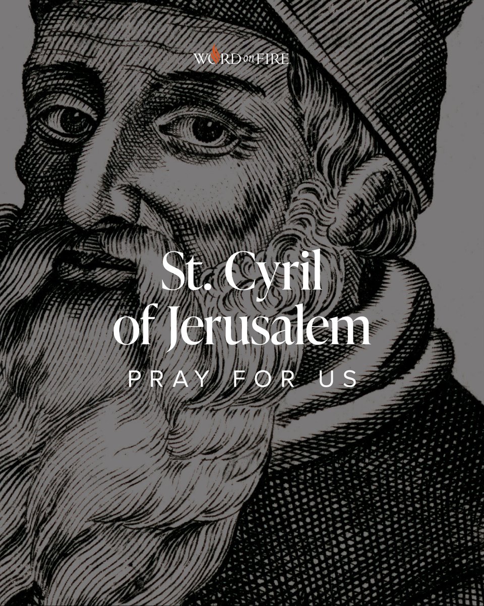 Bishop Robert Barron tweet media