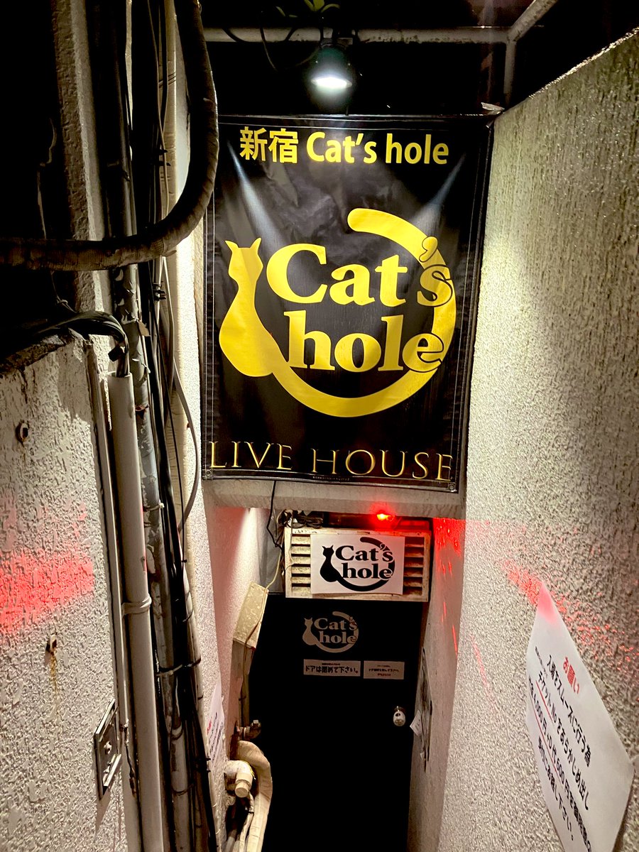 サケ(F.R.S) tweet media