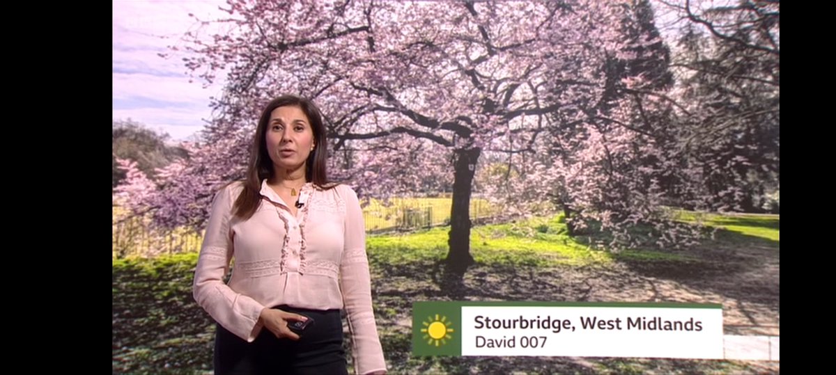 David ALDRED tweet media