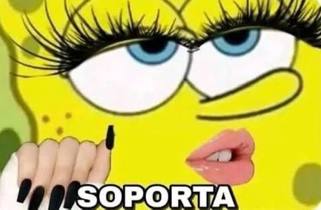 Daniela San tweet media