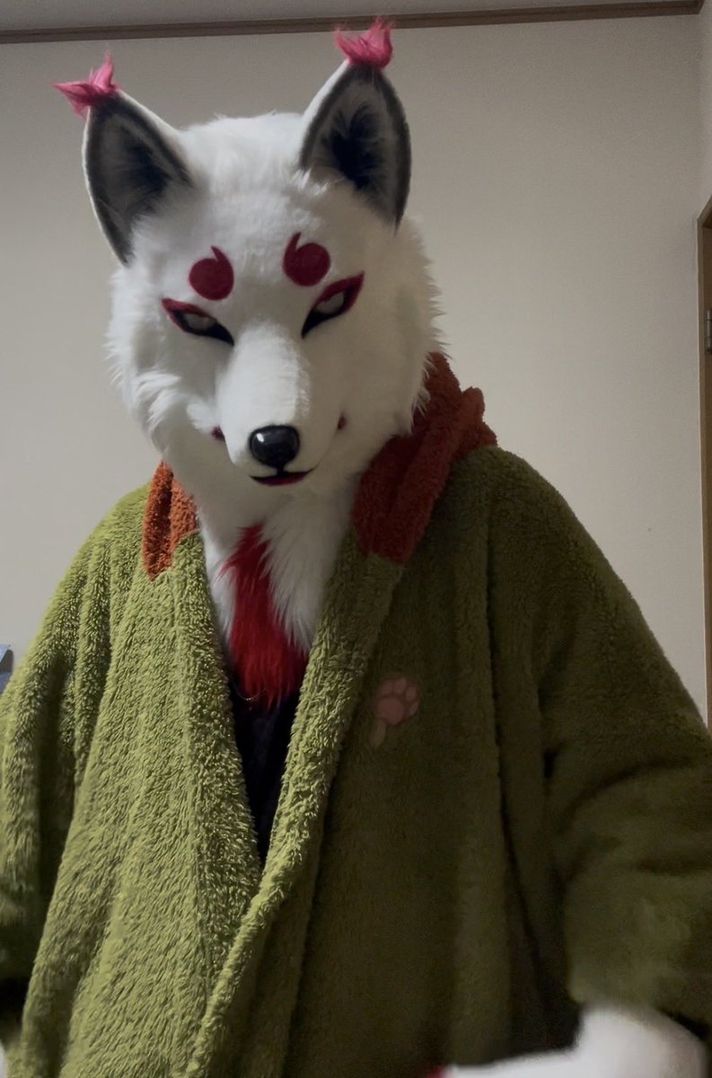 南国狐 tweet media