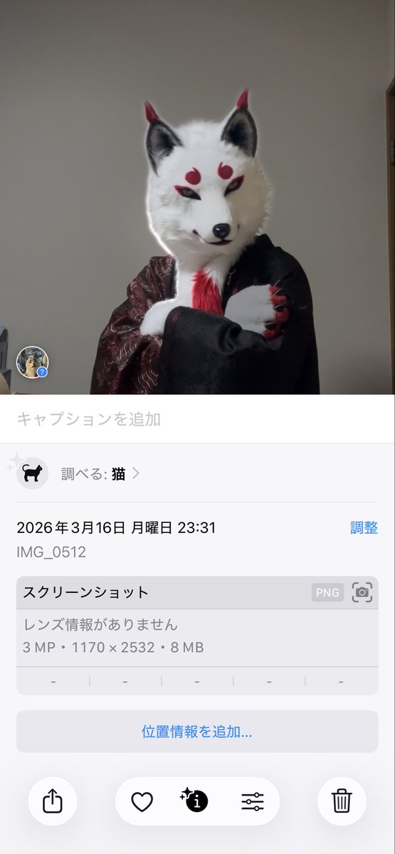 南国狐 tweet media