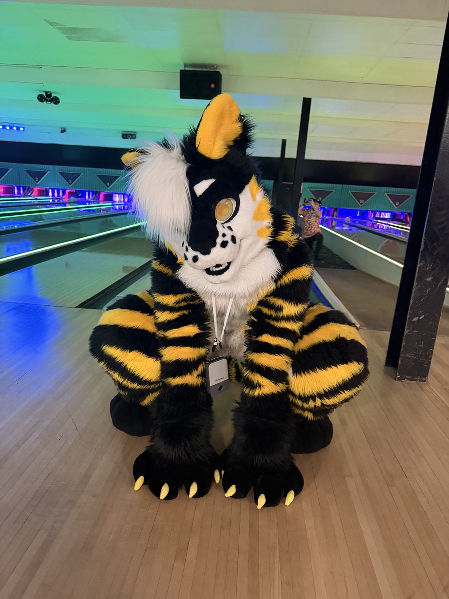 Donz🟡⚫️🐯🔜 ANTHROCON!!! tweet media