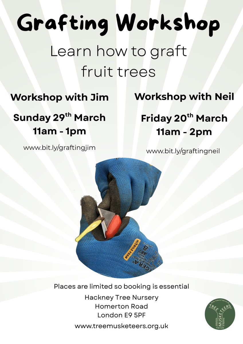 Tree Musketeers tweet media