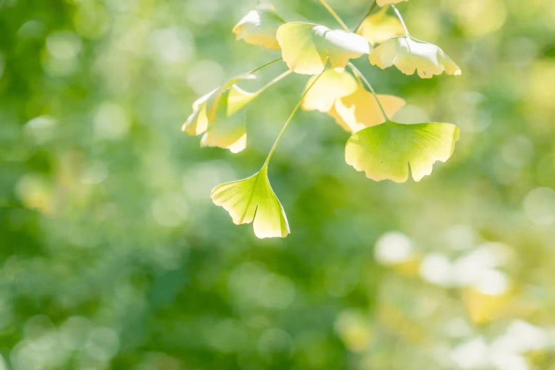 Clare Johnson tweet media