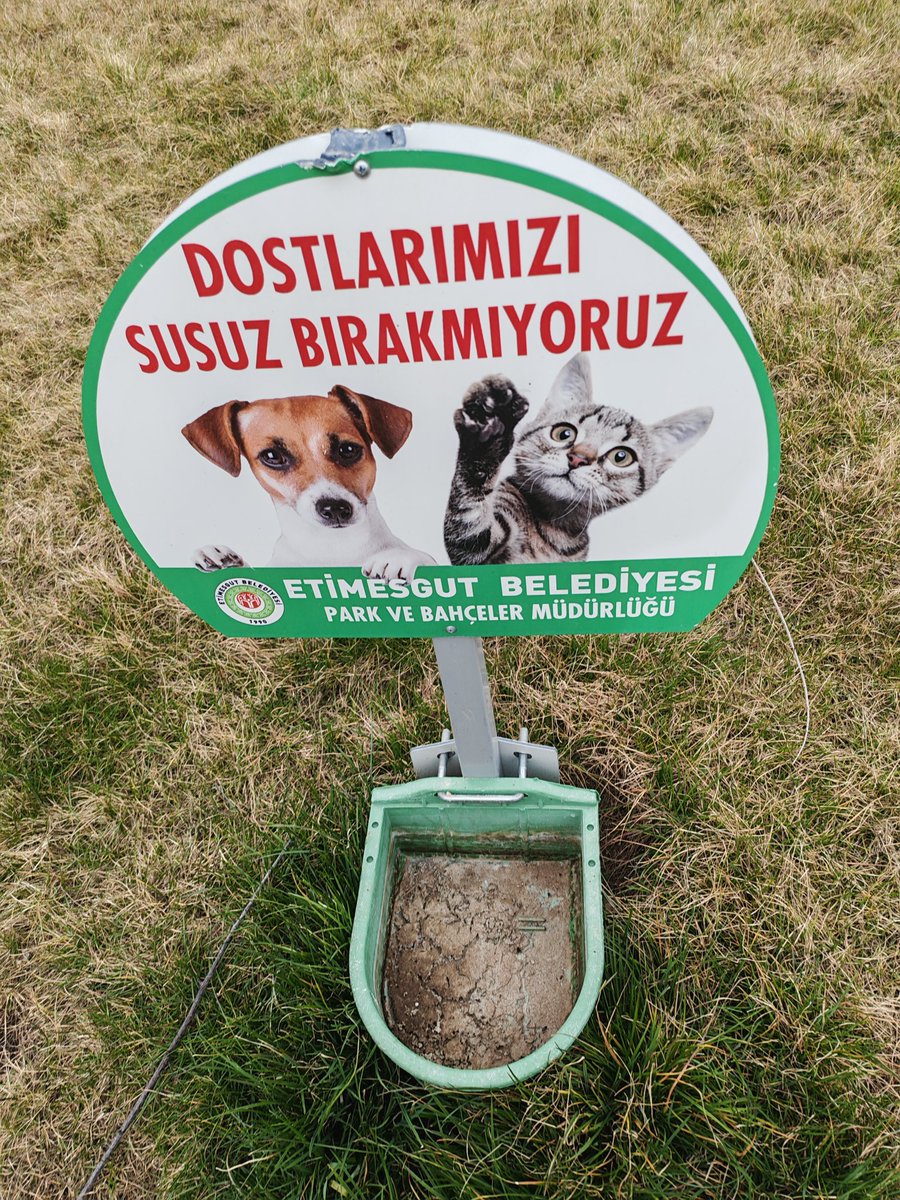 67ons's tweet photo. Köpekleri topladınız. Sokaklarda kedi var, kirpi var, tilki var. Ama su kaplarının hepsi boş. https://t.co/W2N5waqifo