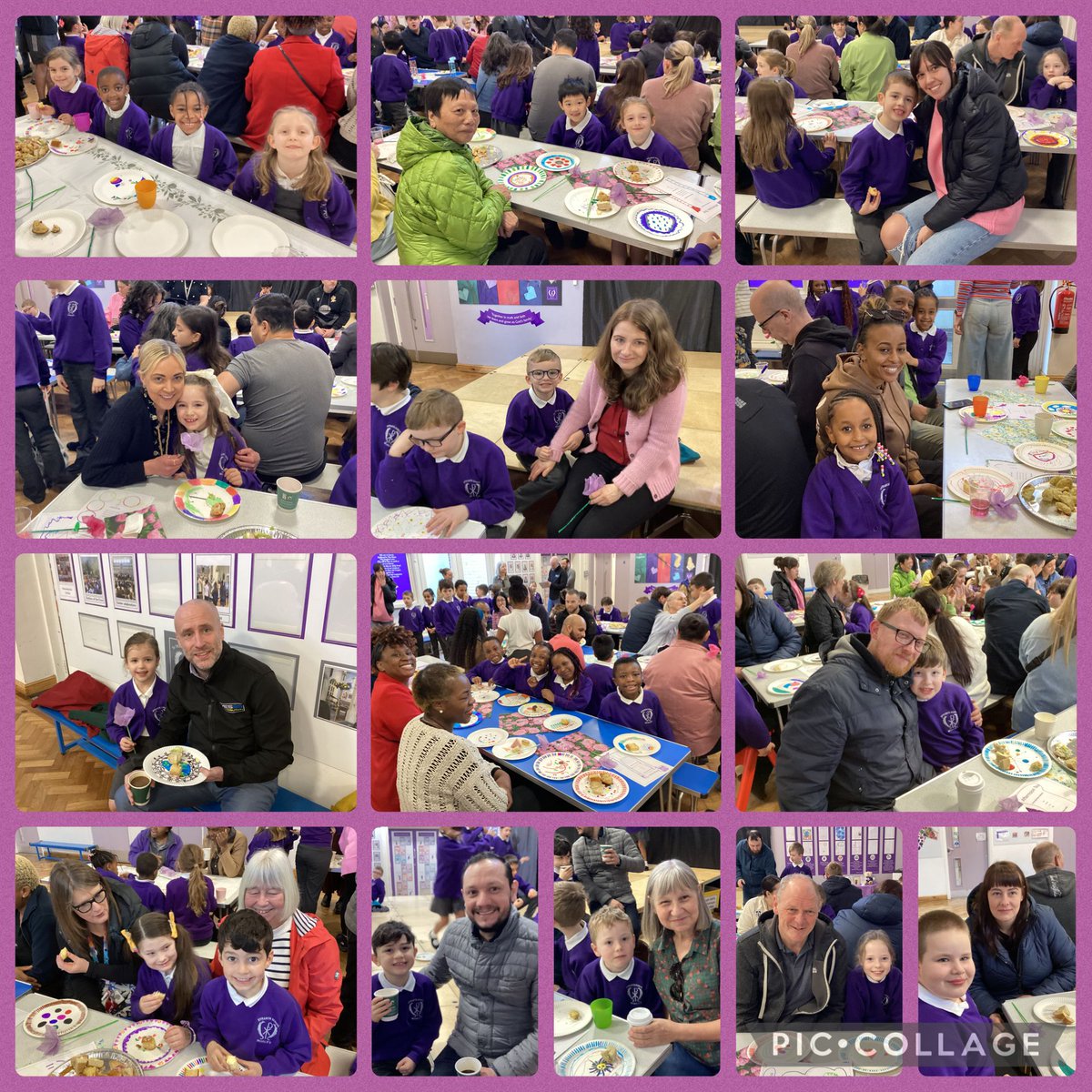 St Francis Catholic Primary School tweet media