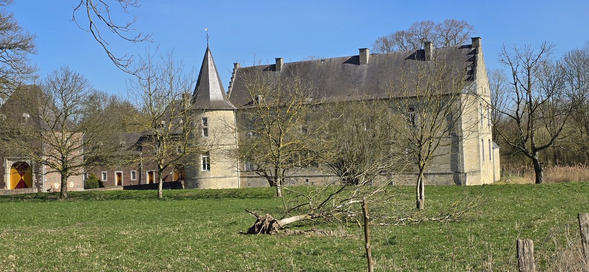 Martin Lamboo tweet media