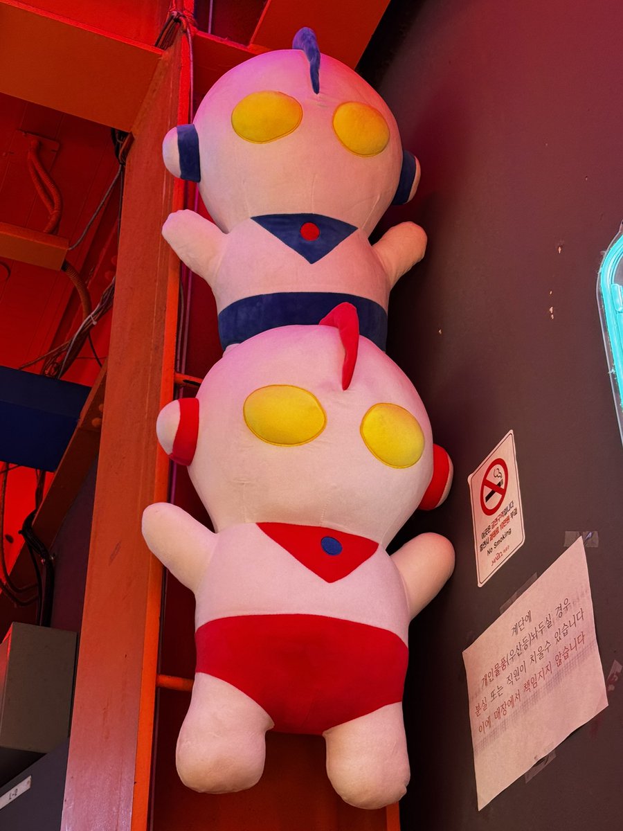 이소벨/イソベル tweet media