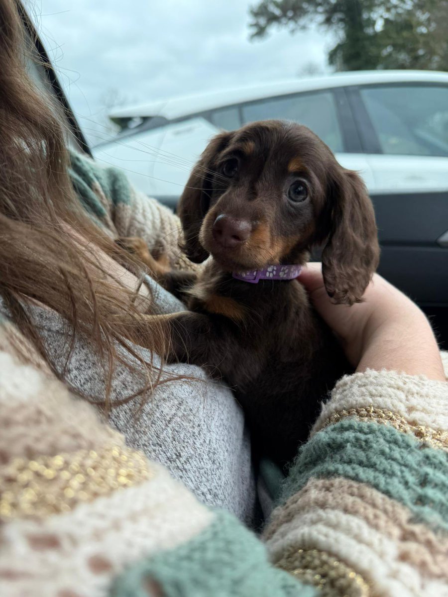 Heather 🐍 tweet media