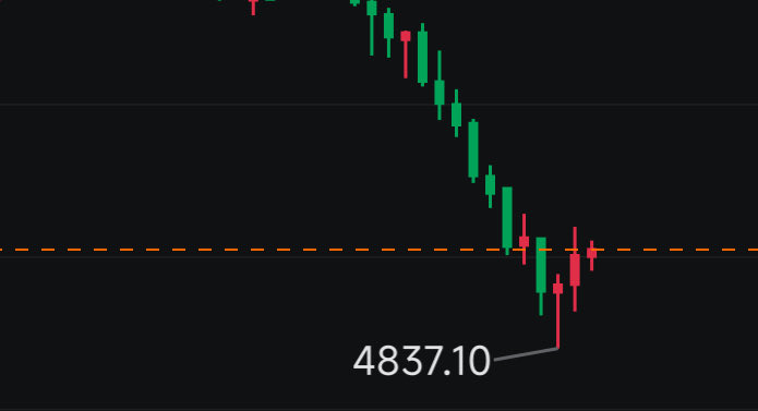 秋生trader tweet media