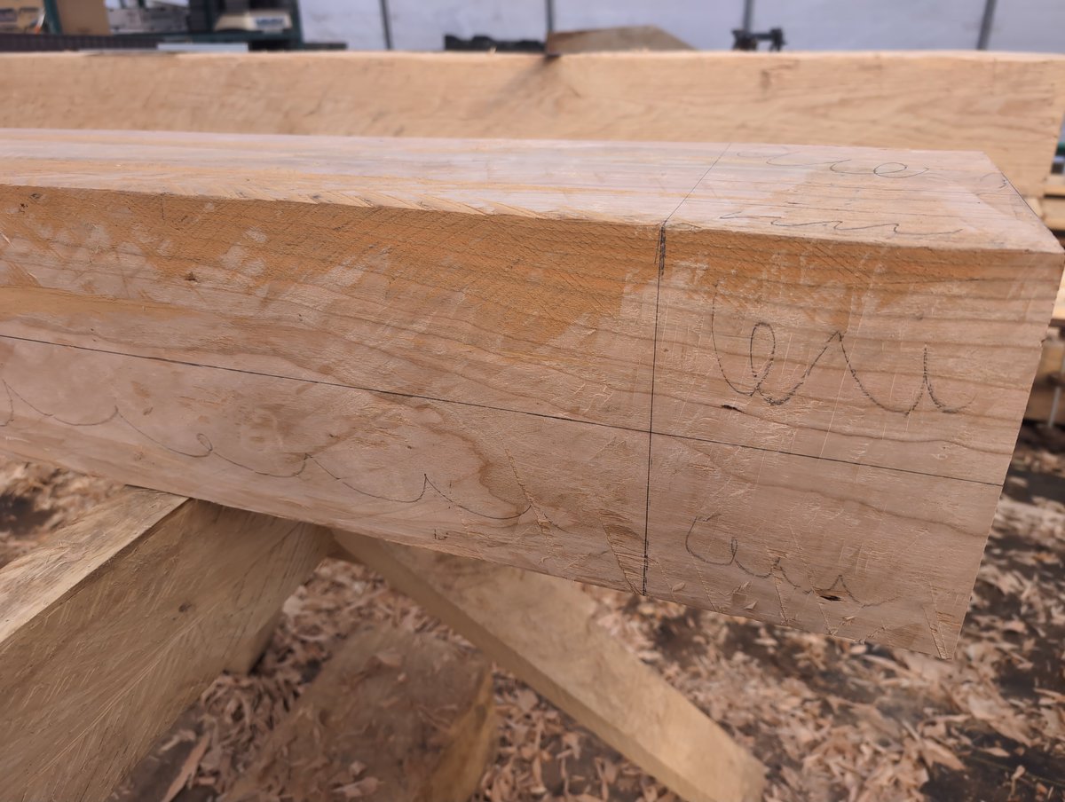 willy denner tweet media