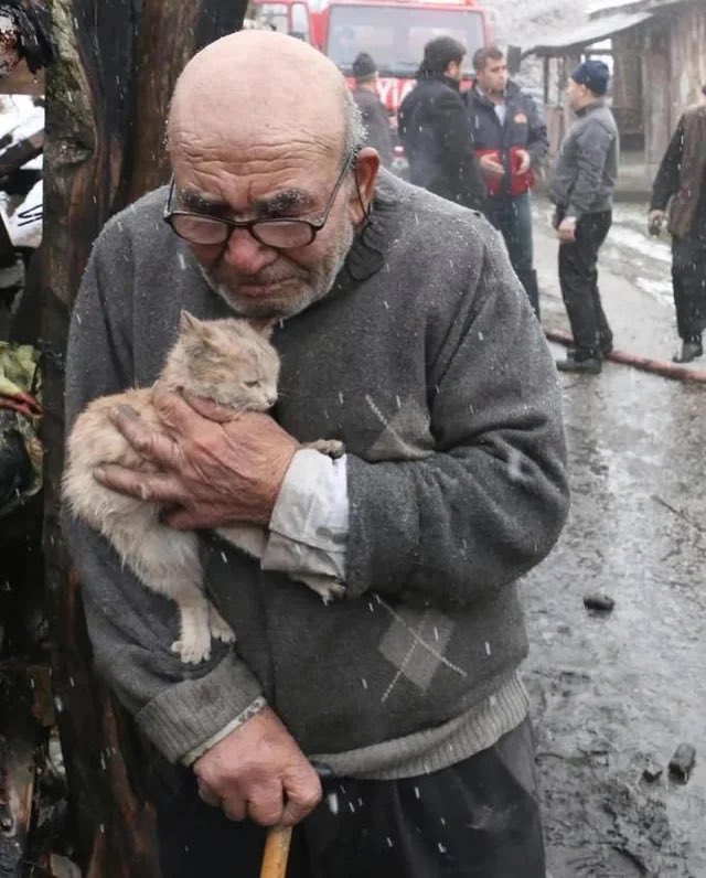 Turkish Archives tweet media