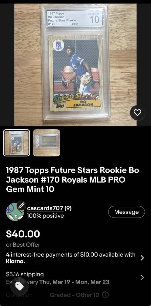 Pinball Shitshow tweet media