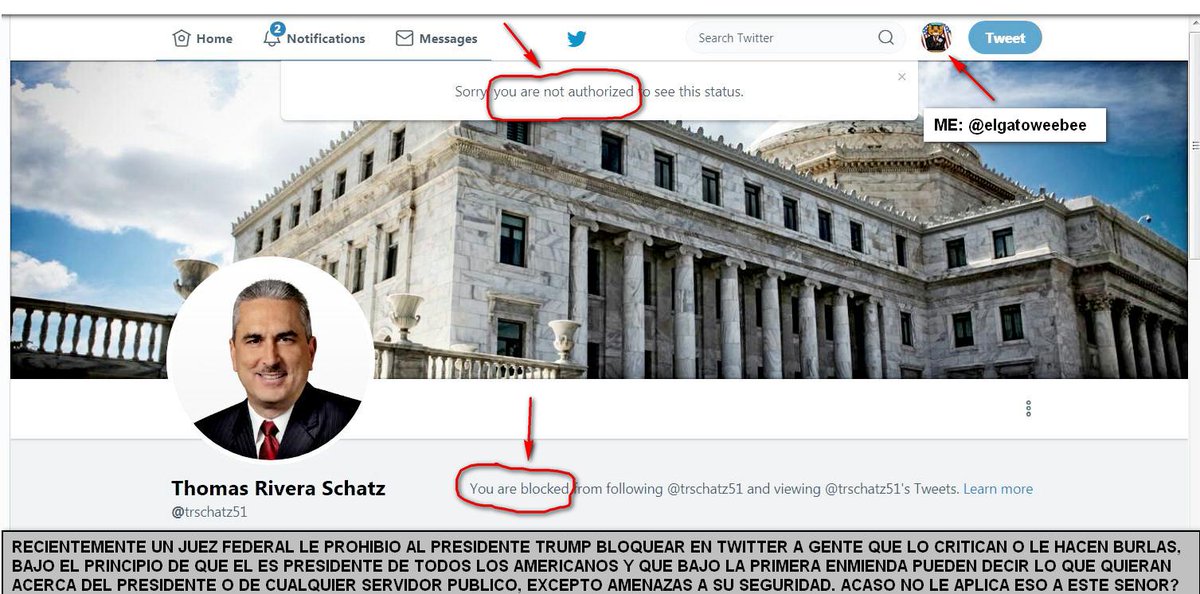 El Gato Weebee tweet media