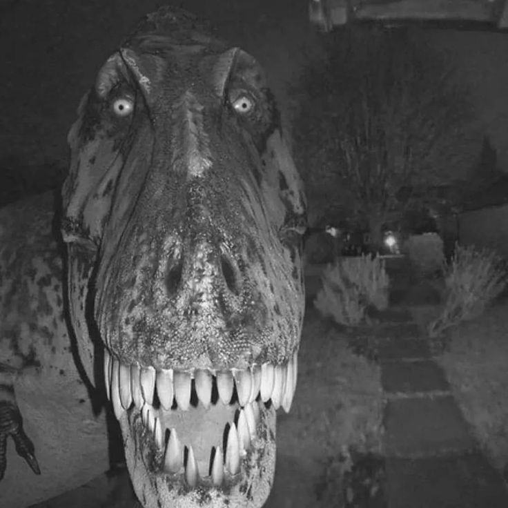 RemsKA2021 tweet media