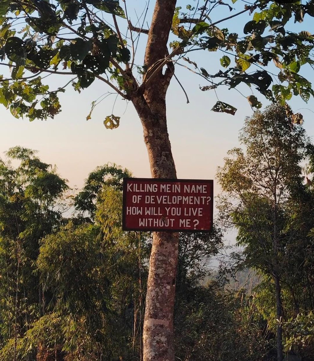 aienamri's tweet photo. Where the hills whisper and progress paves the way. 🌿✨
 From the mist-covered peaks to the buzzing new streets, the Land of Pioneers is on the move!
#Mokokchung #Nagaland #LandOfPioneers #SustainableGrowth #NortheastIndia #NatureMeetsModern https://t.co/sTvT5Uhdx8