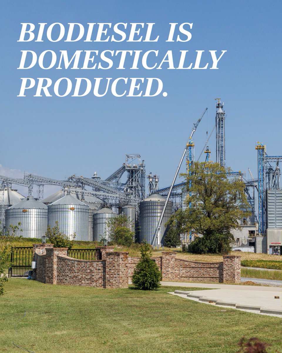 Tennessee Soybean tweet media