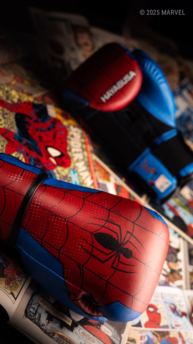 Hayabusa tweet media