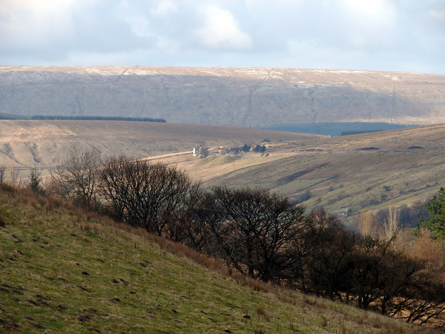 Aut Faciam tweet media