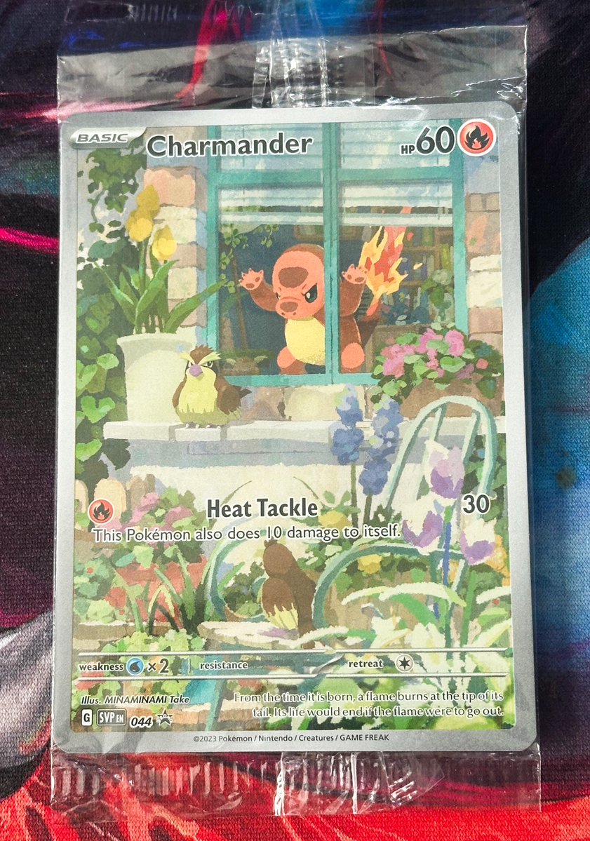 Lord Charizard tweet media