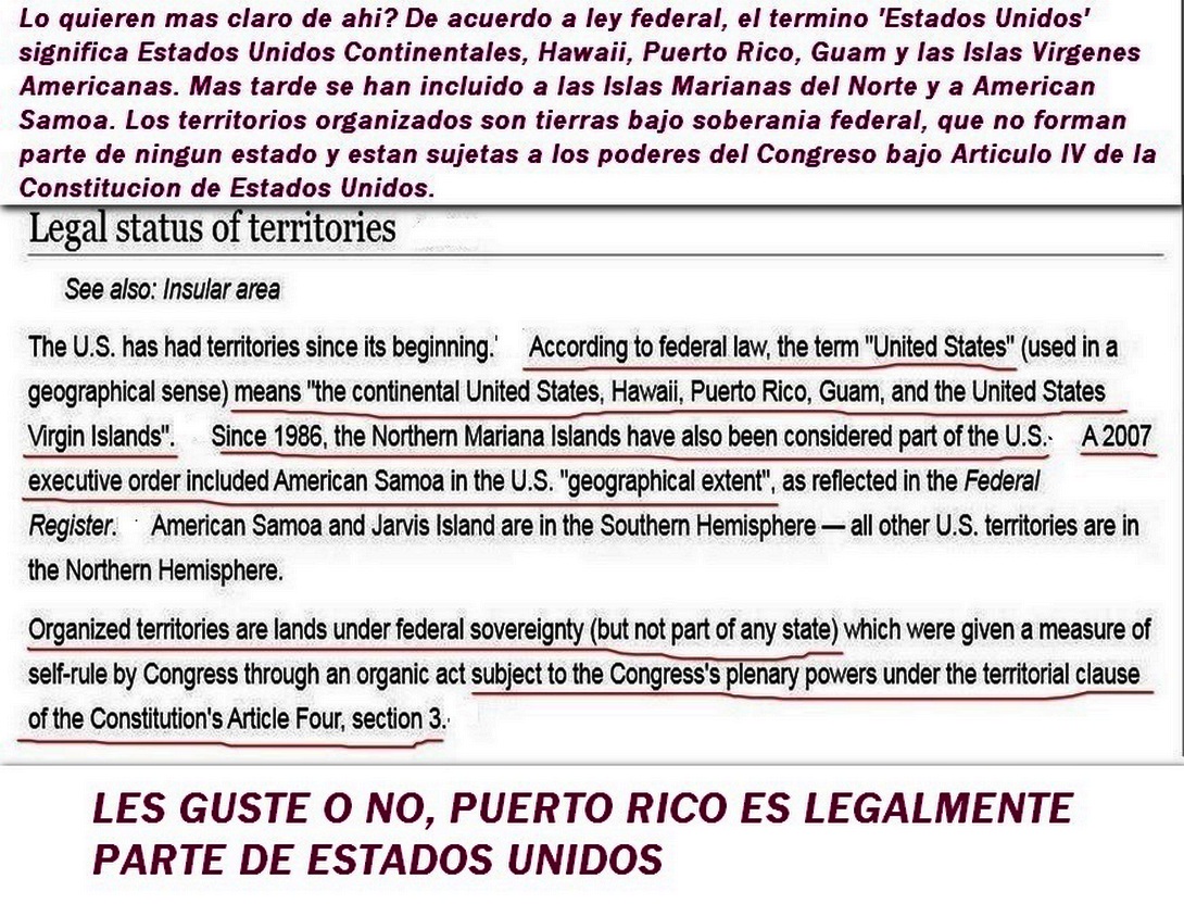 El Gato Weebee tweet media