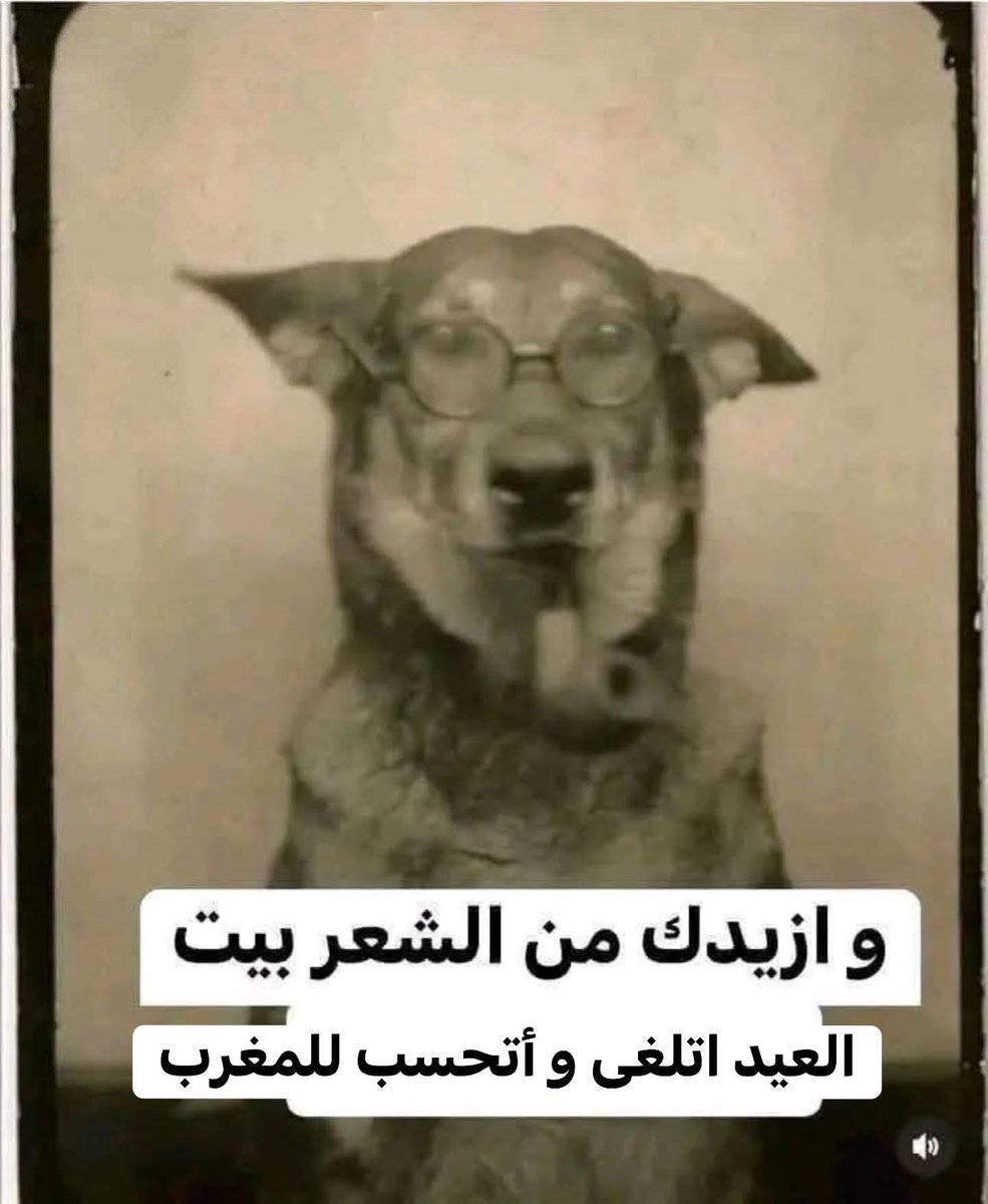 عاشق الملك ابريتشي ايزي tweet media