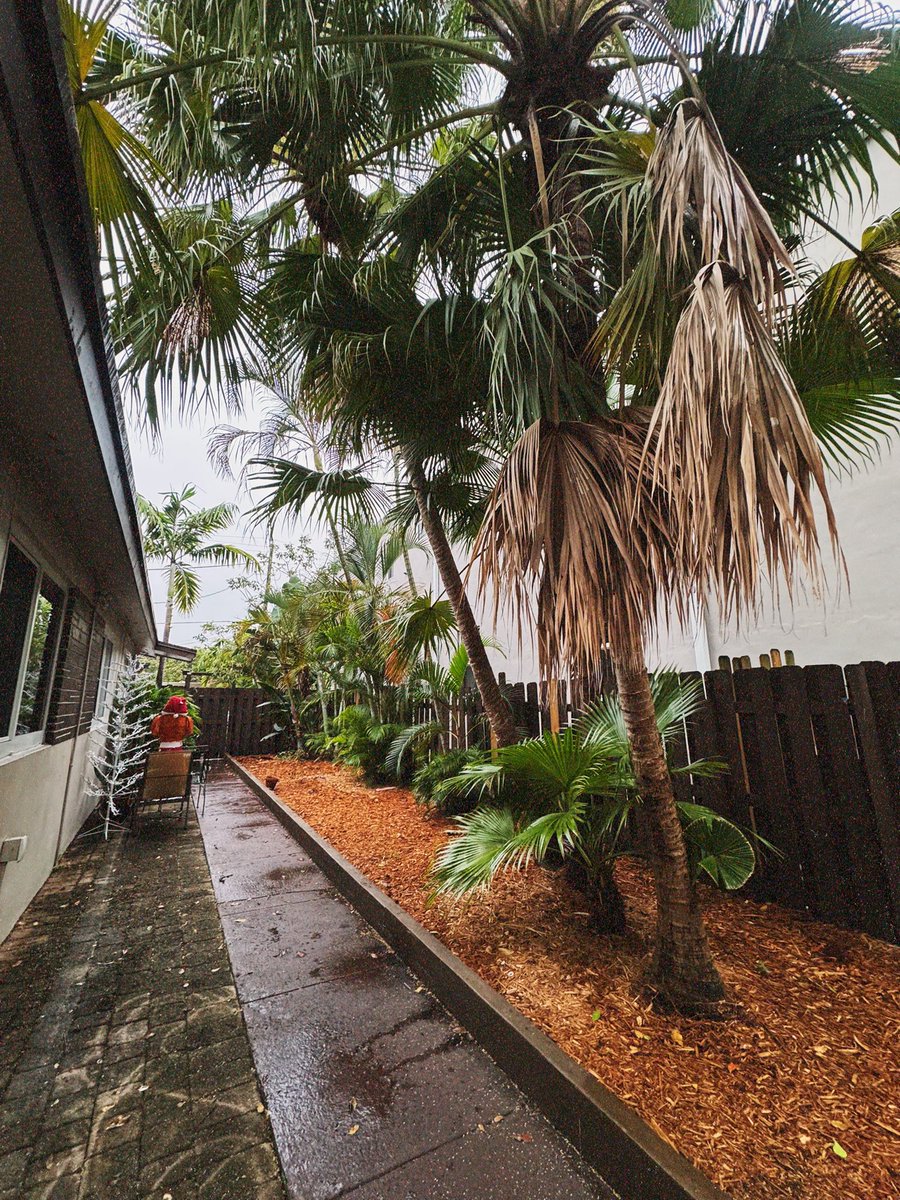 Ro Zamora 🤟🏻🖤 tweet media