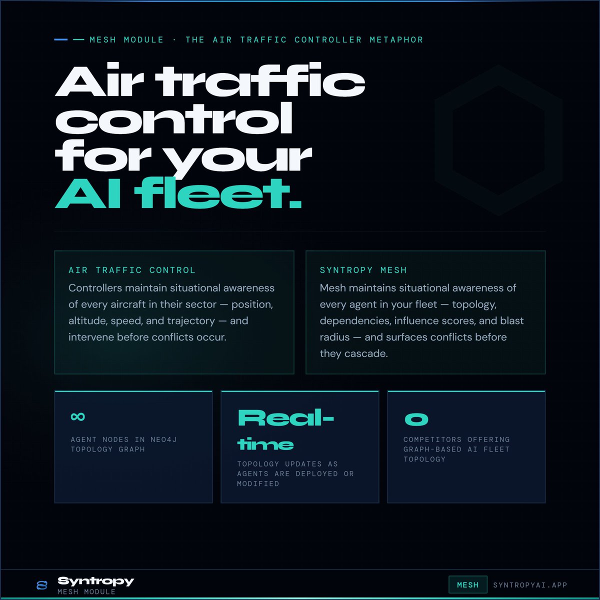 Syntropy tweet media