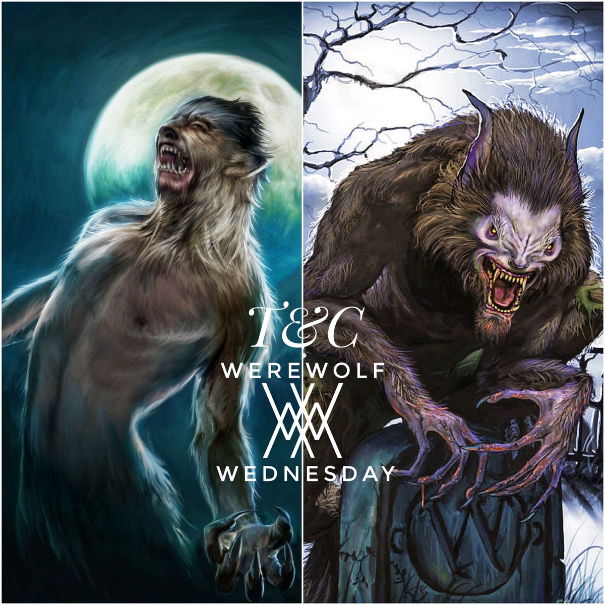 TeaandCryptids tweet media