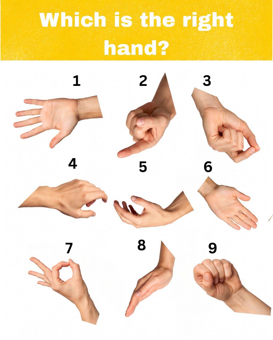 𝚂𝚞𝚏𝚒𝚊 𝚂𝚑𝚊𝚑🍁 tweet media