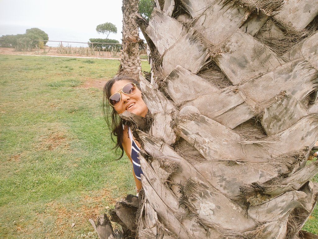 lucidalocura100's tweet image. Cada ser humano es  su propio fruto , Eligiendo con conciencia el camino que se presenta, modo convencional  y el que el corazón indica.
 #minipoesia #instapoema #creando #andando #sigueme peru