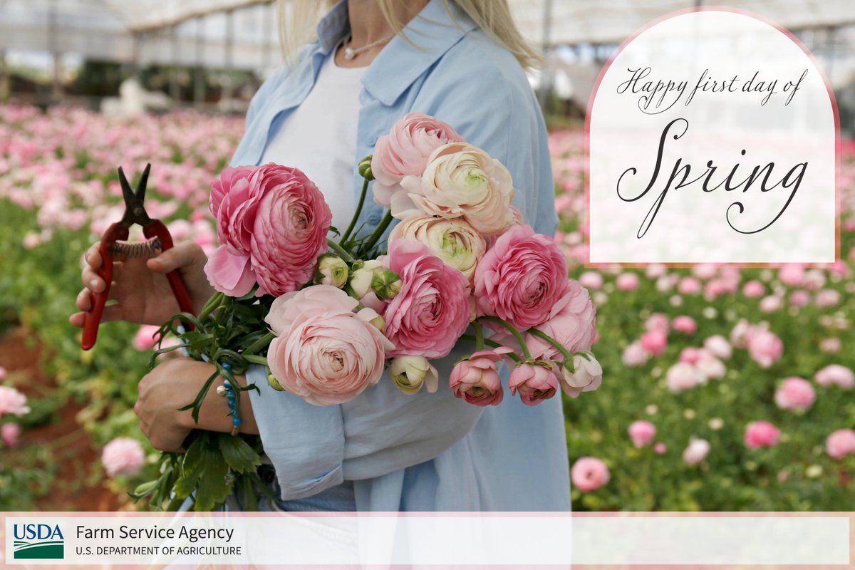 Farm Service Agency tweet media