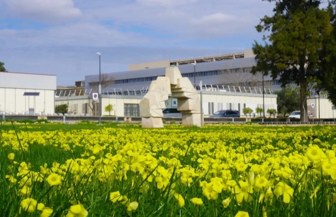 Medio Ambiente UPV tweet media