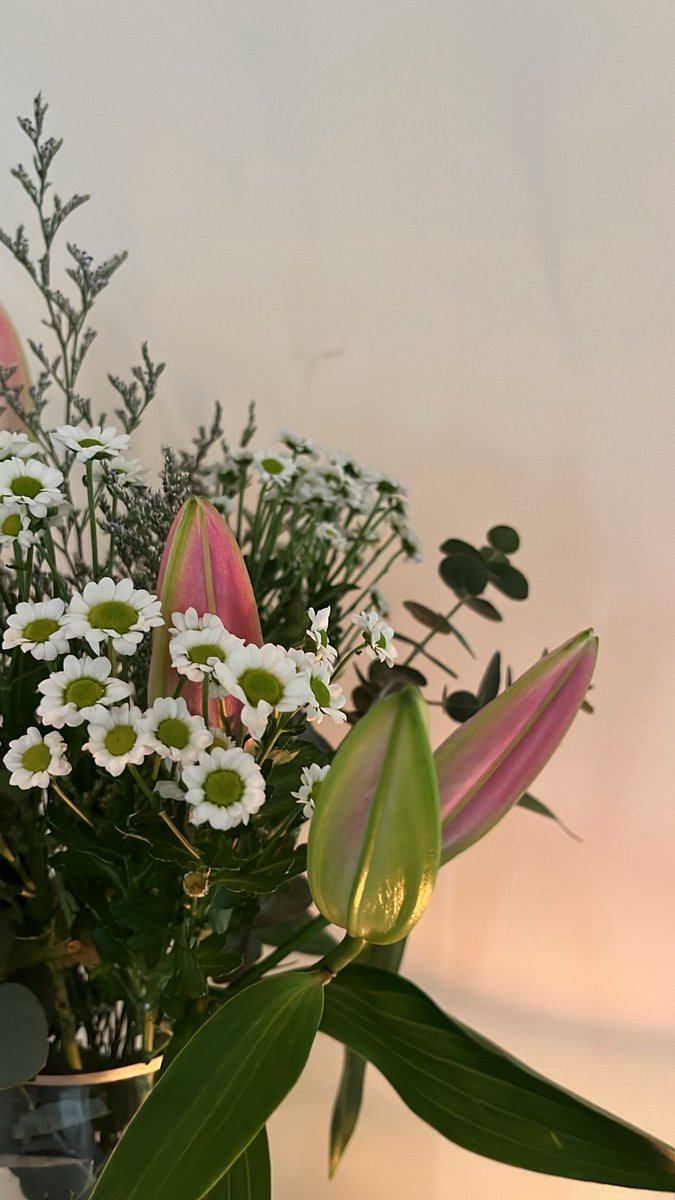 A. Matteo tweet media