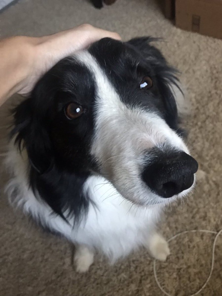 Boundless tweet media