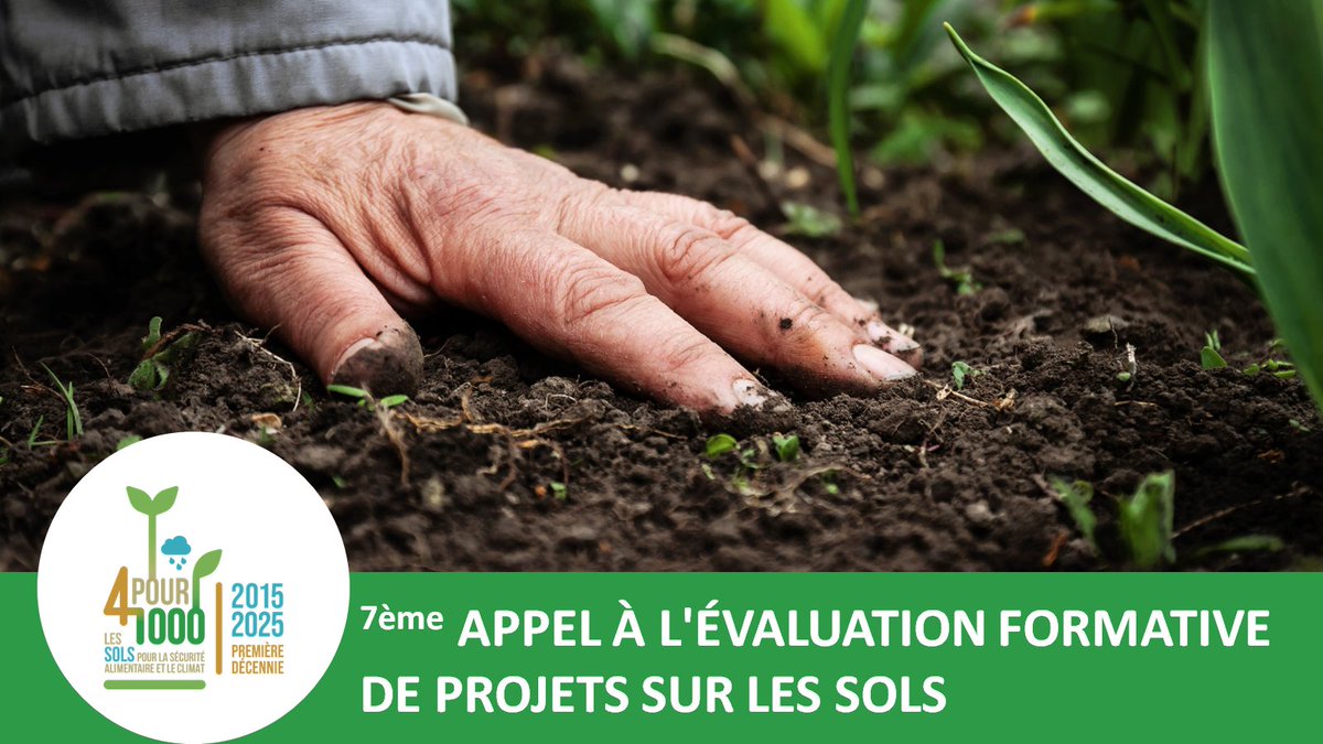 4p1000initiative tweet media