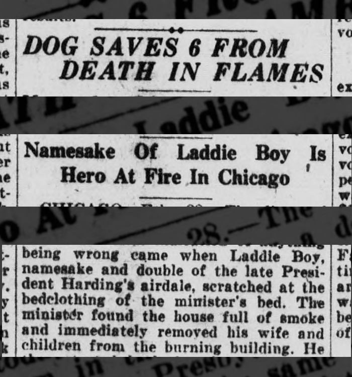 PrintOfTime tweet media