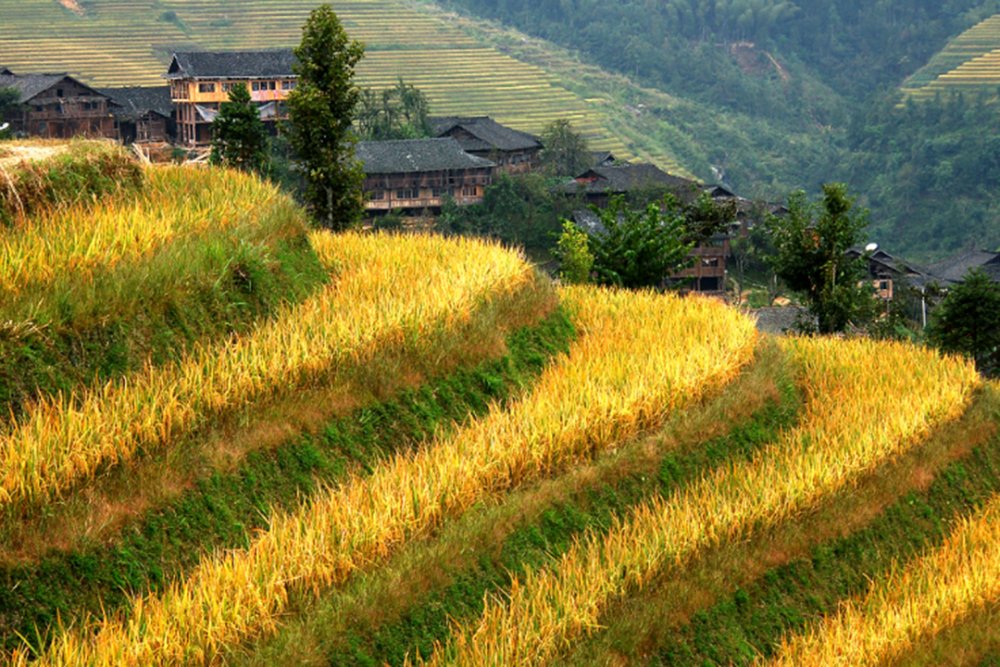 khushboo sahijwani tweet media